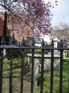 fence and cemetery